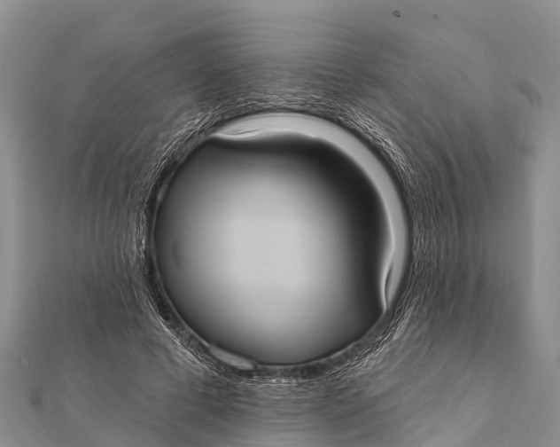 X0000112000593200908241435