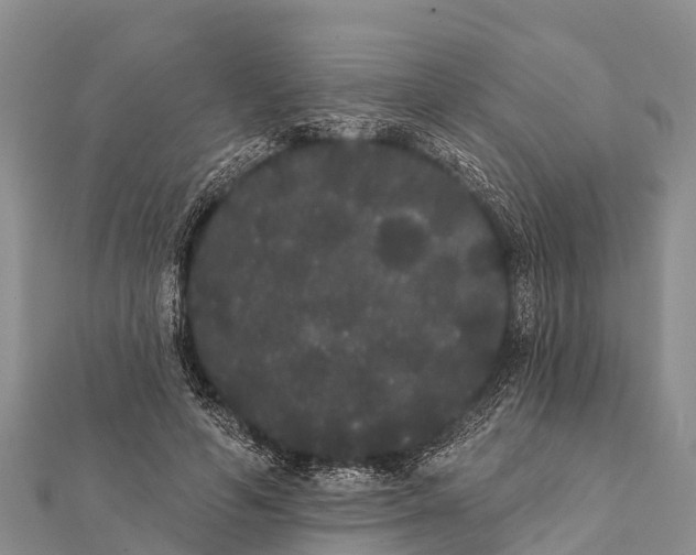 X0000112000594200908241435