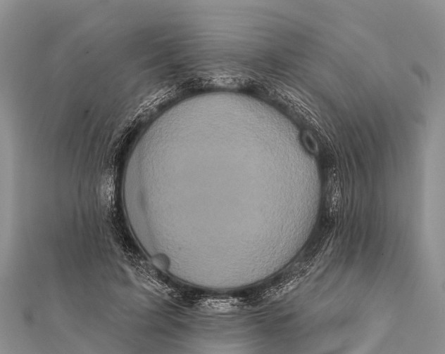 X0000112000595200908241435