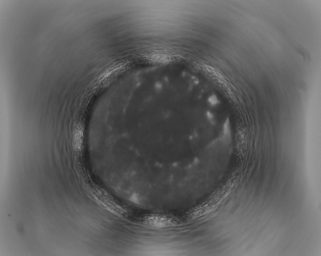 X0000112000596200908241435