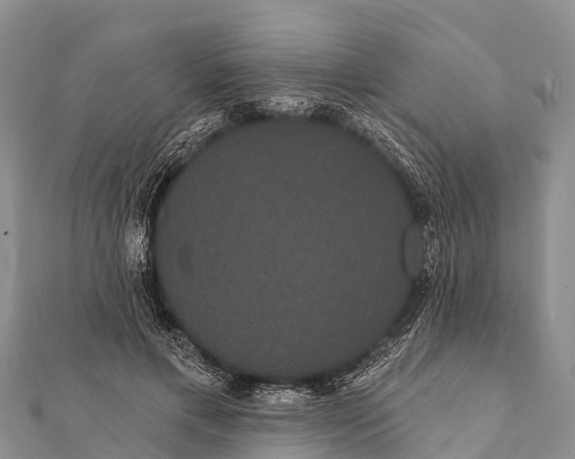 X0000112000597200908241435