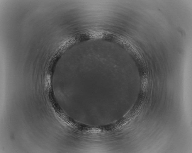 X0000112000598200908241435