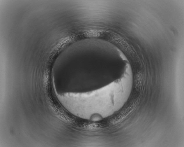 X0000112000600200908241434