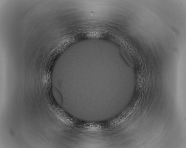 X0000112000601200908241434