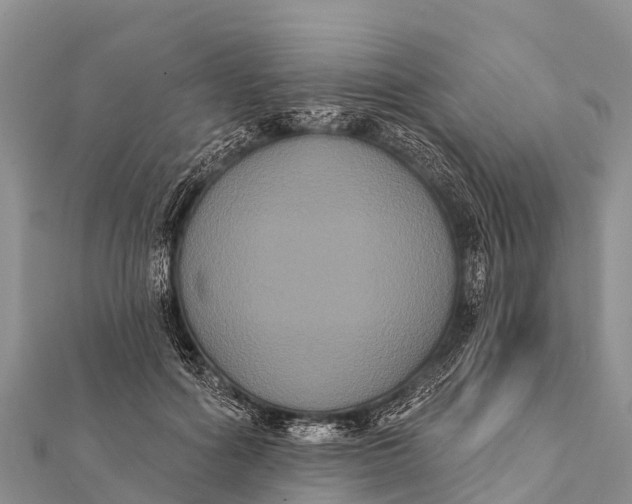 X0000112000602200908241434