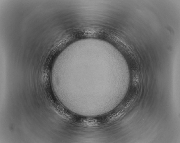 X0000112000603200908241434