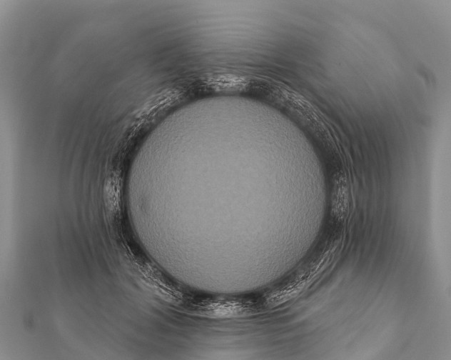 X0000112000604200908241434