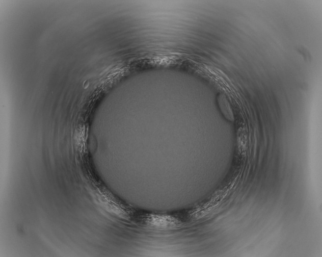 X0000112000605200908241434