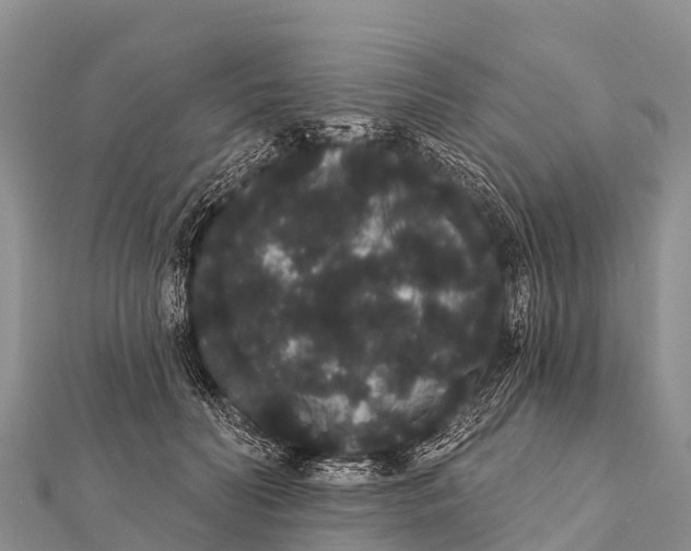 X0000112000606200908241434