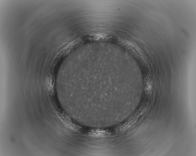 X0000112000607200908241434