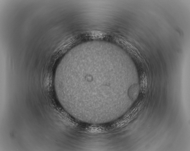 X0000112000608200908241434