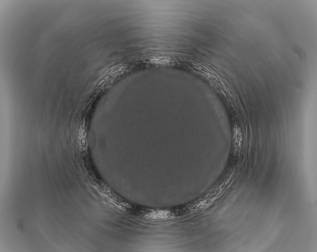 X0000112000609200908241434