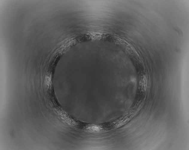 X0000112000610200908241434