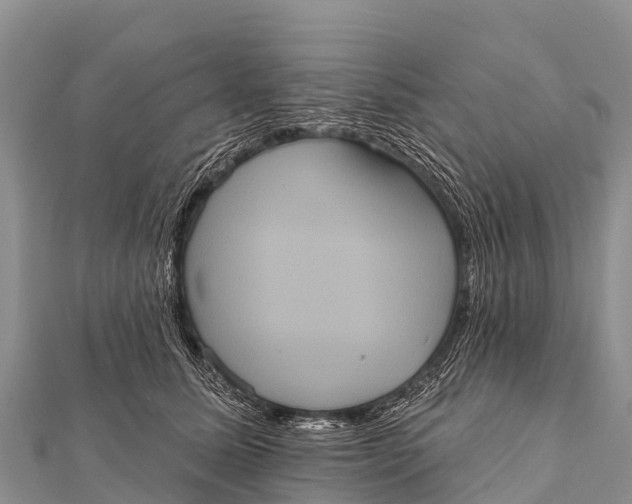 X0000112000611200908241434