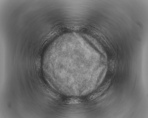 X0000112000612200908241434