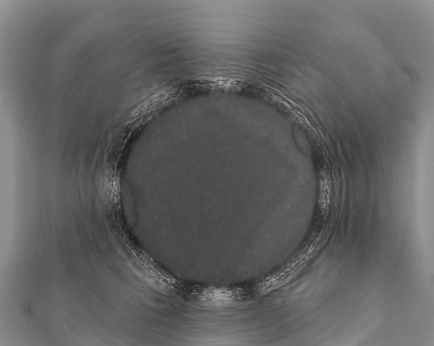 X0000112000613200908241434