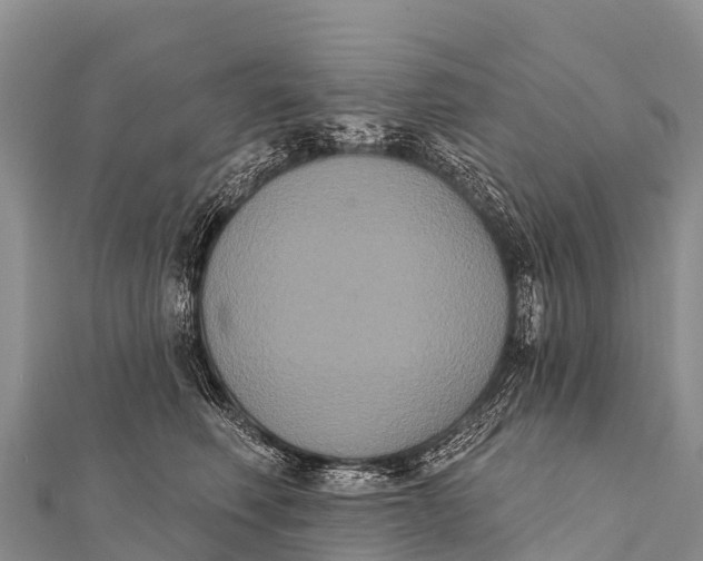 X0000112000614200908241434