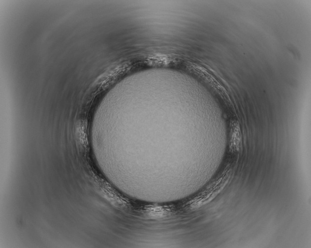 X0000112000616200908241434