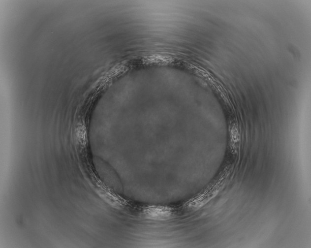 X0000112000617200908241434