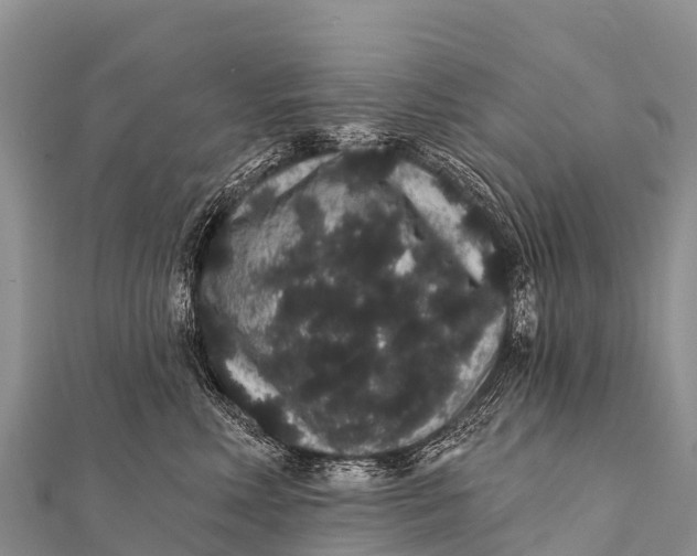 X0000112000618200908241434