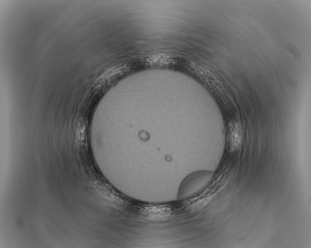 X0000112000619200908241434