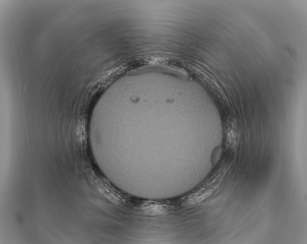 X0000112000620200908241434