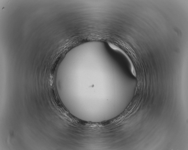 X0000112000621200908241434