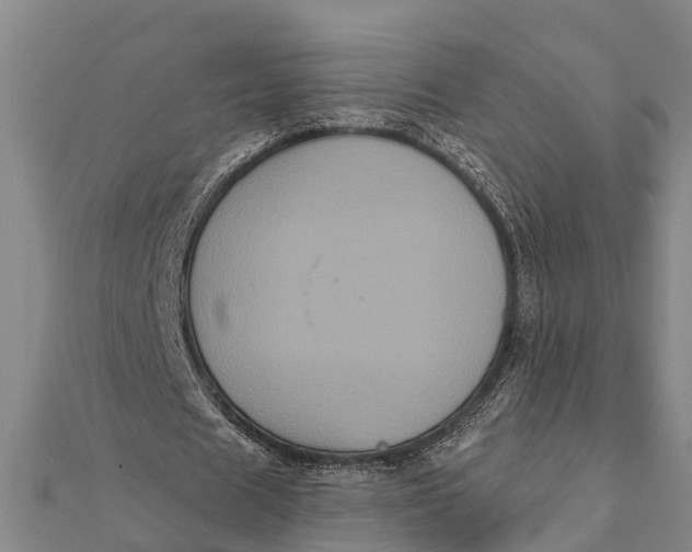 X0000112000625200908241433