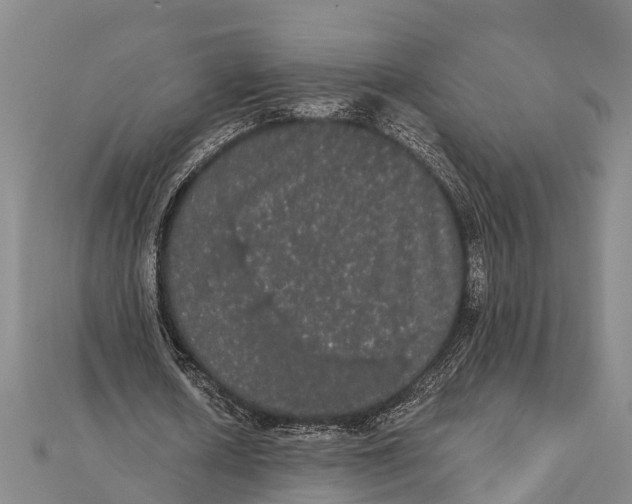 X0000112000626200908241433