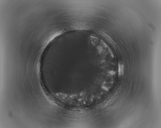 X0000112000627200908241433