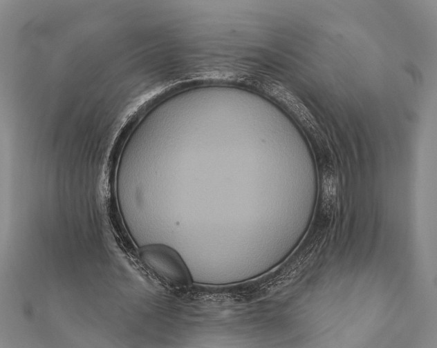 X0000112000628200908241433