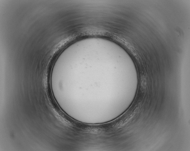 X0000112000629200908241433