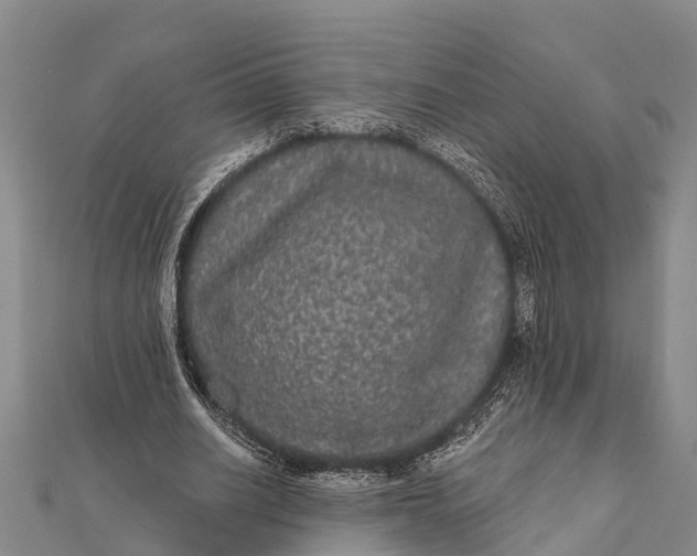 X0000112000630200908241433