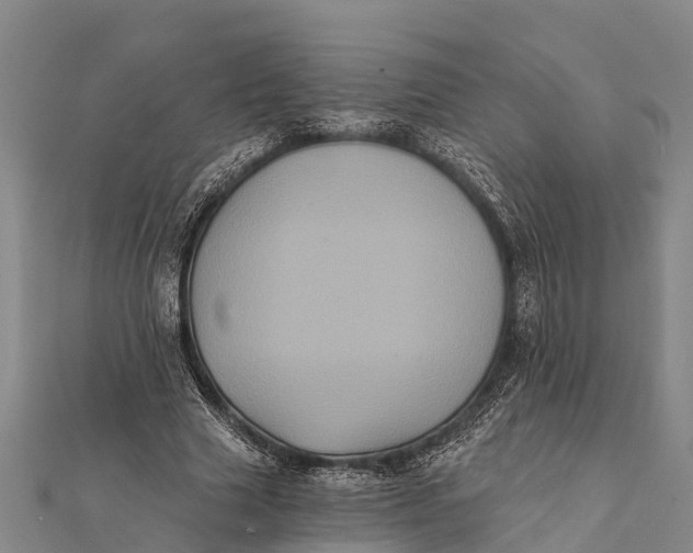 X0000112000633200908241434