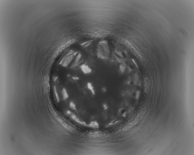 X0000112000634200908241434