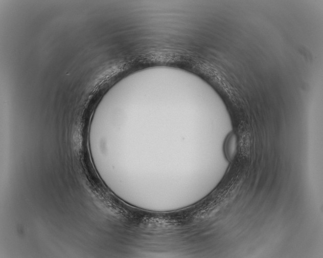 X0000112000635200908241434