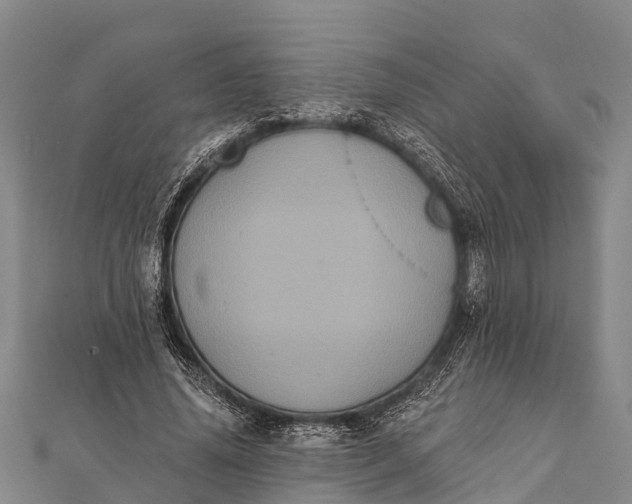 X0000112000636200908241434