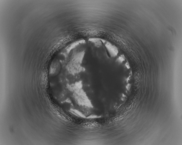 X0000112000642200908241434