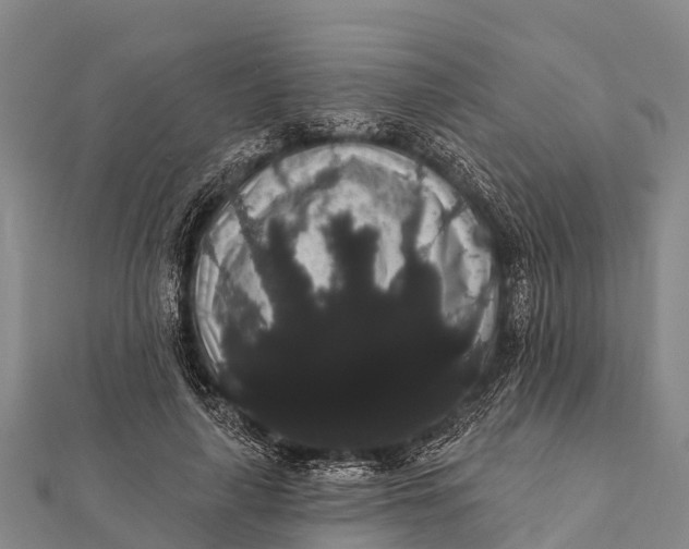 X0000112000643200908241434