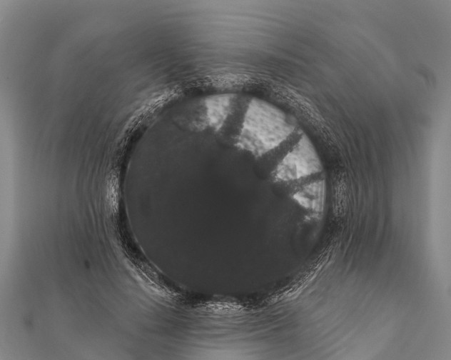 X0000112000644200908241434