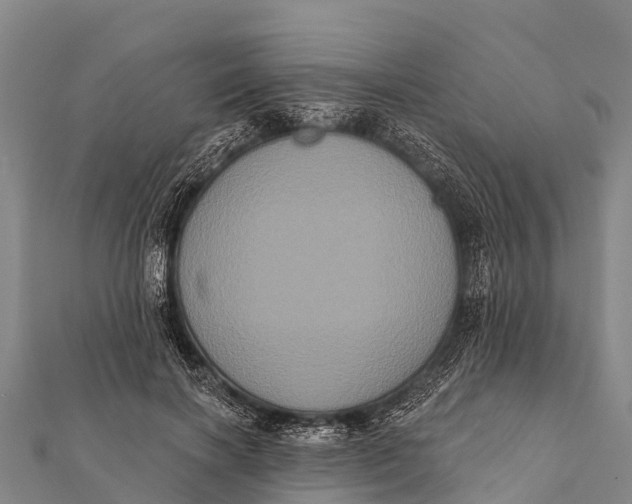 X0000112000646200908241434