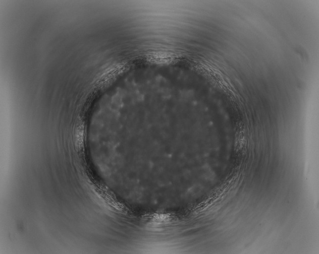 X0000112000647200908241434