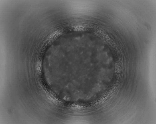 X0000112000648200908241434