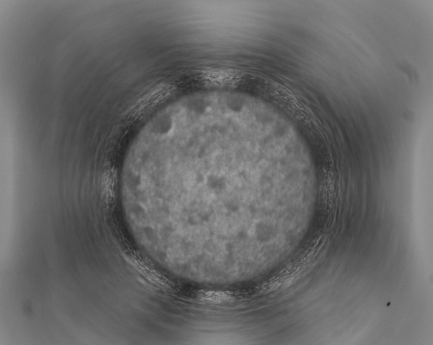 X0000112000649200908241434