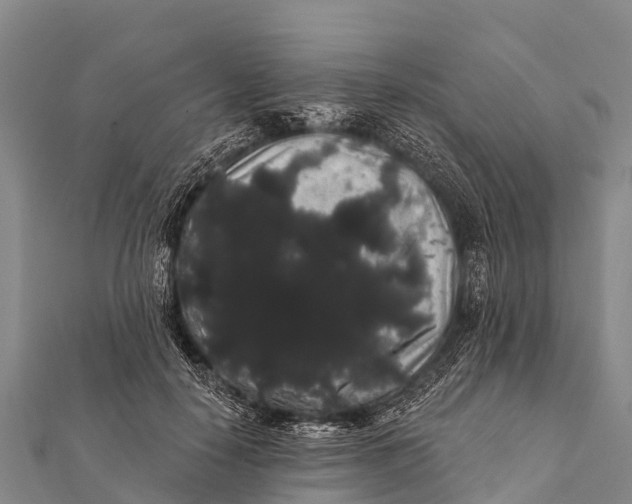 X0000112000650200908241434