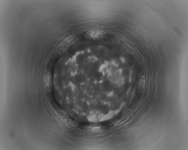 X0000112000651200908241434