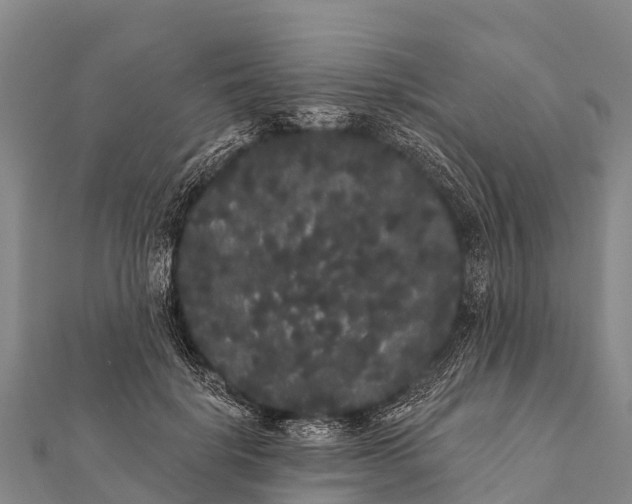 X0000112000652200908241434