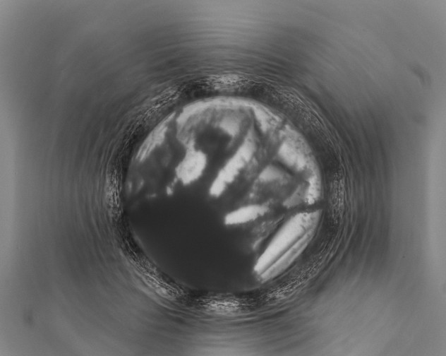 X0000112000653200908241434