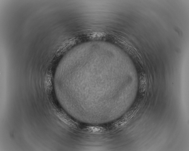 X0000112000654200908241434