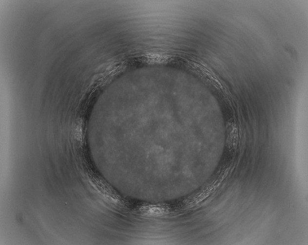 X0000112000655200908241434